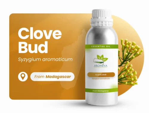 Clou de girofle de Madagascar