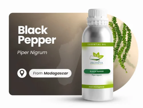 Black pepper of Madagascar