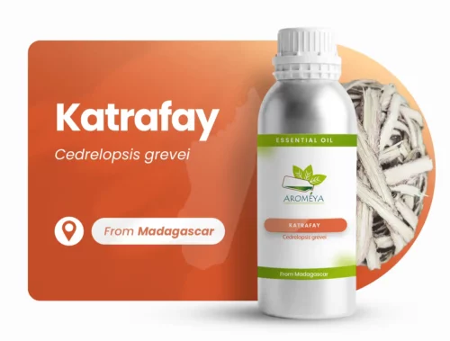 Essential oil of Katrafay
