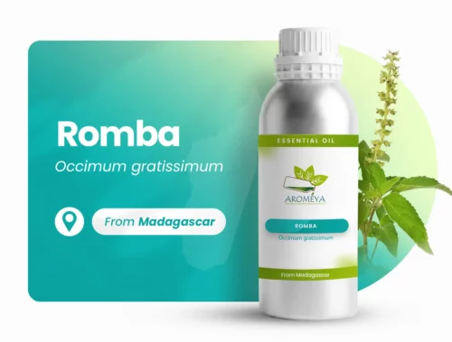 Romba of Madagascar