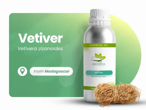 Vetiver of Madagascar