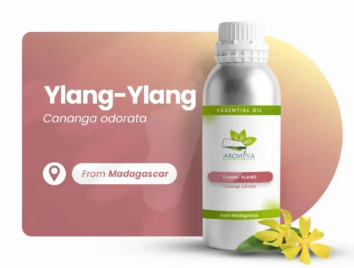 Ylang-ylang de Madagascar