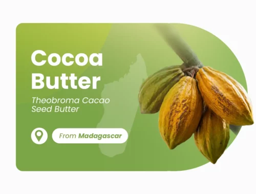 Beurre de cacao de Madagascar