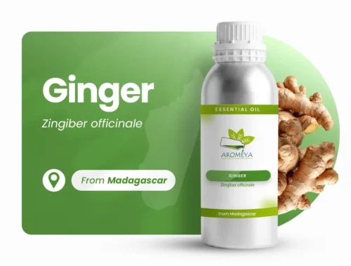 Gingembre de Madagascar
