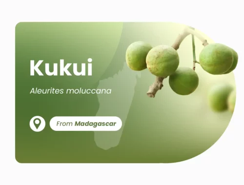 Vegetable oil of Kukui