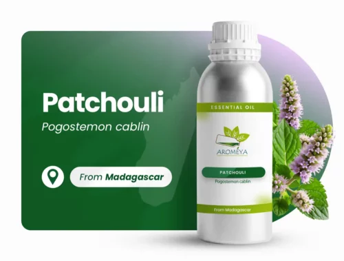 Essential oil of Patchouli