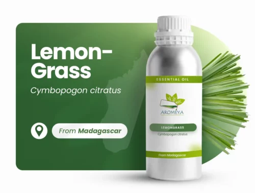 Citronnelle de Madagascar