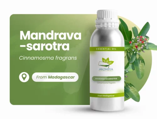 马达加斯加萨罗（Mandravasarotra）