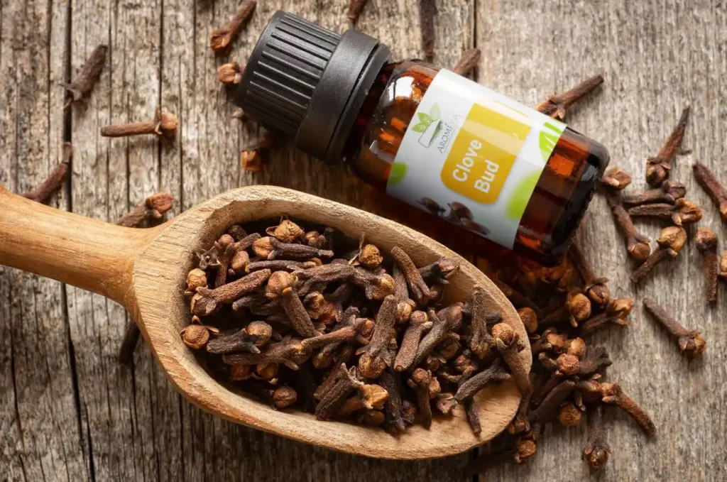 Clove buds in a wooden spoon placed next to a small bottle of clove essential oil, evoking a natural and aromatic presentation