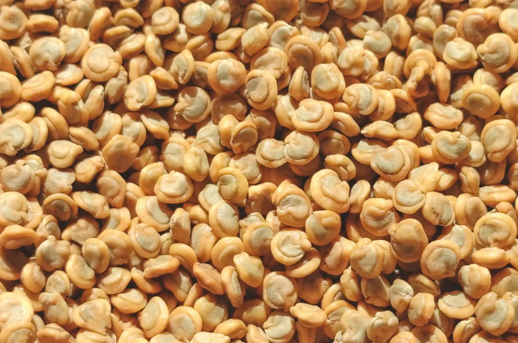 Huile végétale de figue de barbarie de Madagascar, un élixir rare aux propriétés nourrissantes pour la peau et les cheveux.