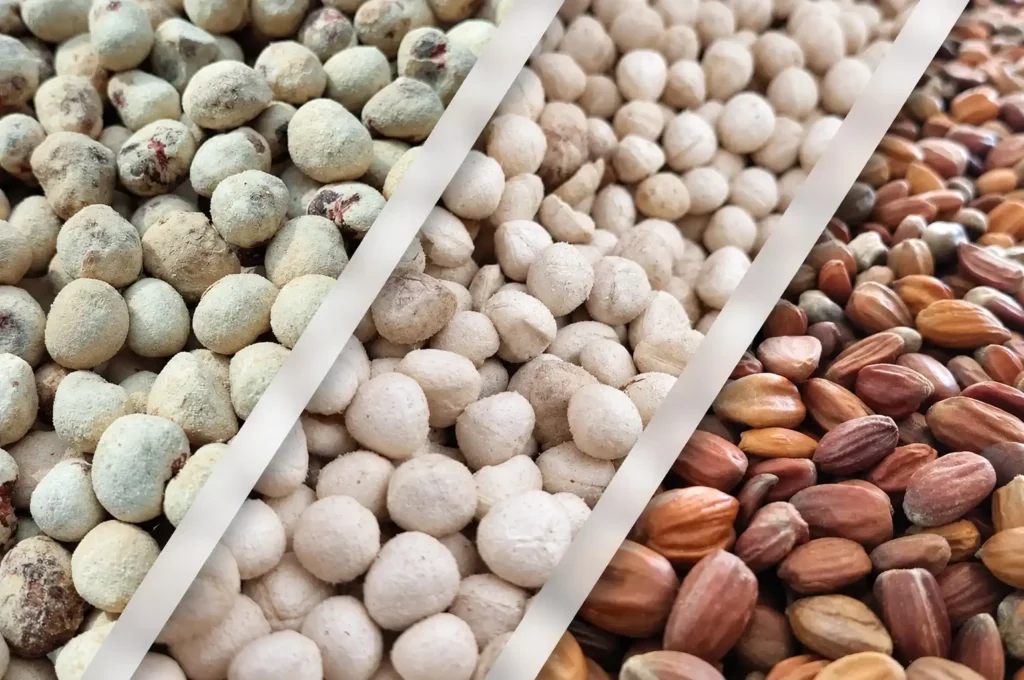 seeds